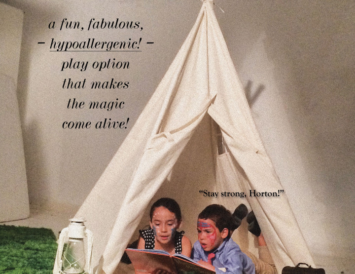 How About A Hypoallergenic Play Tent?