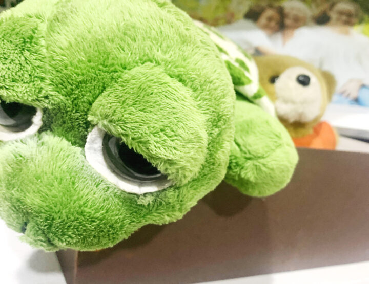 PLUSH TOY (Stuffed Animal): Allergen or Not An Allergen?
